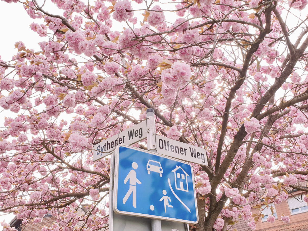 Foto: Webermann/ Dülmen Marketing