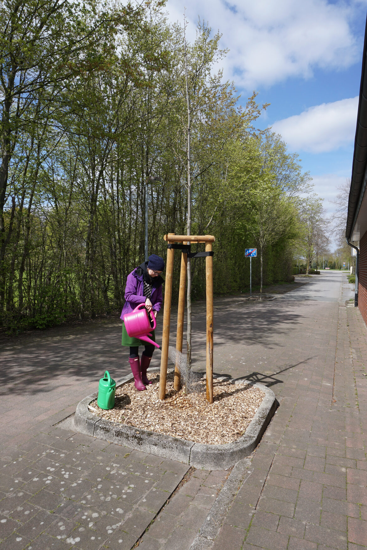 Das Wässern junger Bäume ist die wichtigste Aufgabe der Baumpat*innen. Foto: Stadt Dülmen