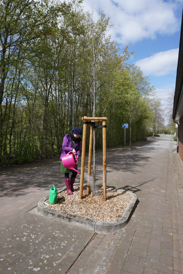 Das Wässern junger Bäume ist die wichtigste Aufgabe der Baumpat*innen. Foto: Stadt Dülmen