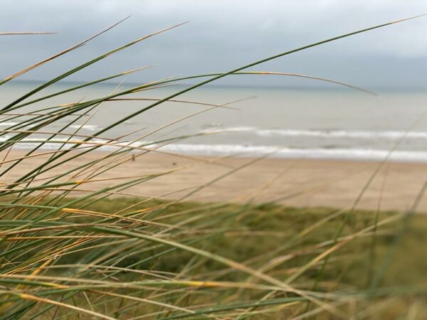 Egmond aan Zee (NL) am 16. August 2025